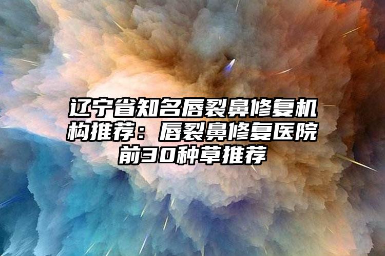 辽宁省知名唇裂鼻修复机构推荐：唇裂鼻修复医院前30种草推荐