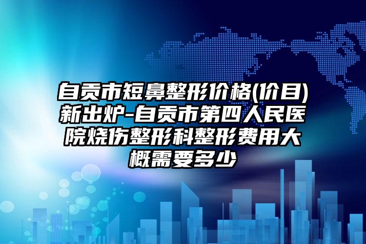 自贡市短鼻整形价格(价目)新出炉-自贡市第四人民医院烧伤整形科整形费用大概需要多少