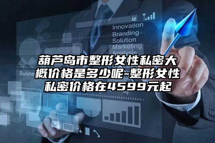 葫芦岛市整形女性私密大概价格是多少呢-整形女性私密价格在4599元起