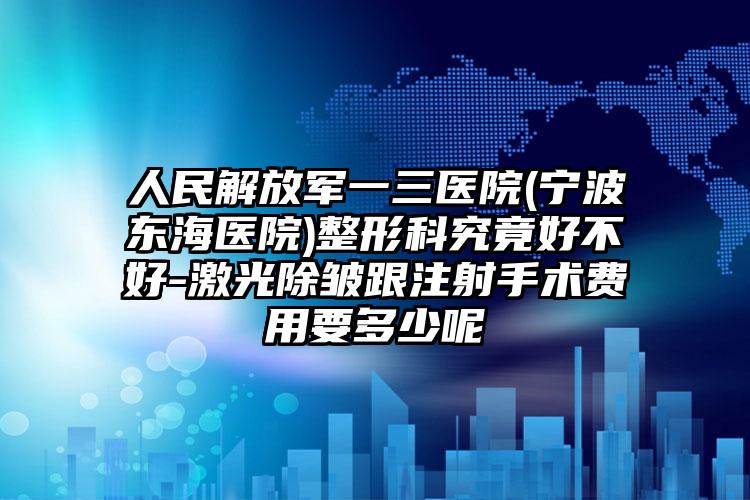 人民解放军一三医院(宁波东海医院)整形科究竟好不好-激光除皱跟注射手术费用要多少呢