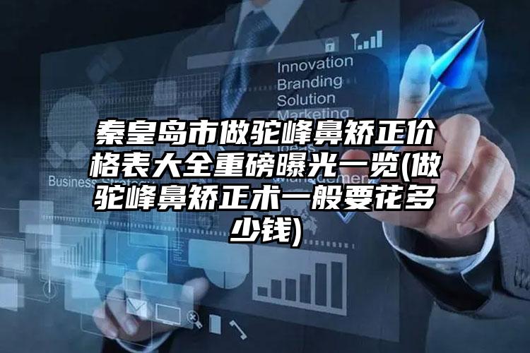 秦皇岛市做驼峰鼻矫正价格表大全重磅曝光一览(做驼峰鼻矫正术一般要花多少钱)