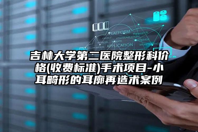 吉林大学第二医院整形科价格(收费标准)手术项目-小耳畸形的耳廓再造术案例