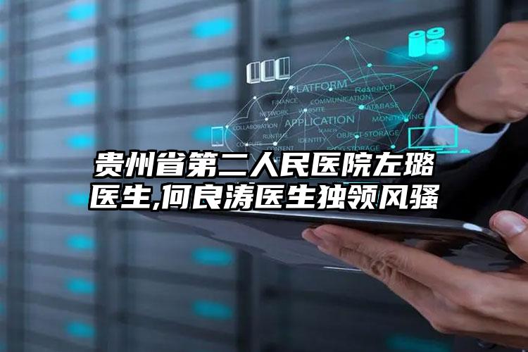 贵州省第二人民医院左璐医生,何良涛医生独领风骚