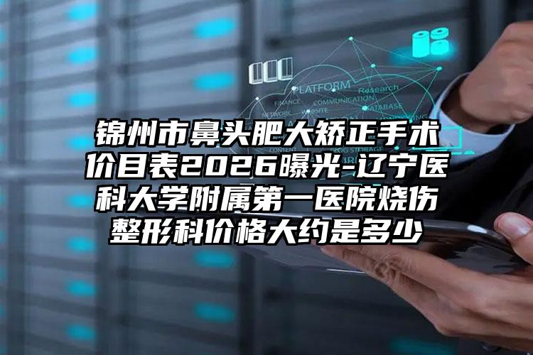 锦州市鼻头肥大矫正手术价目表2026曝光-辽宁医科大学附属第一医院烧伤整形科价格大约是多少