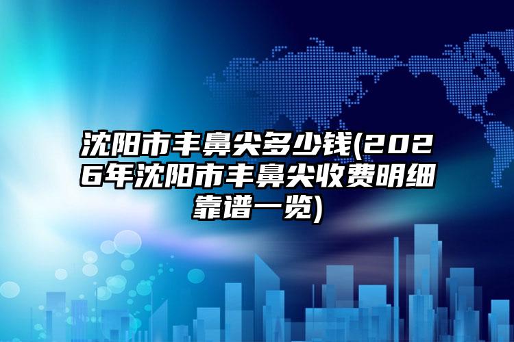 沈阳市丰鼻尖多少钱(2026年沈阳市丰鼻尖收费明细靠谱一览)