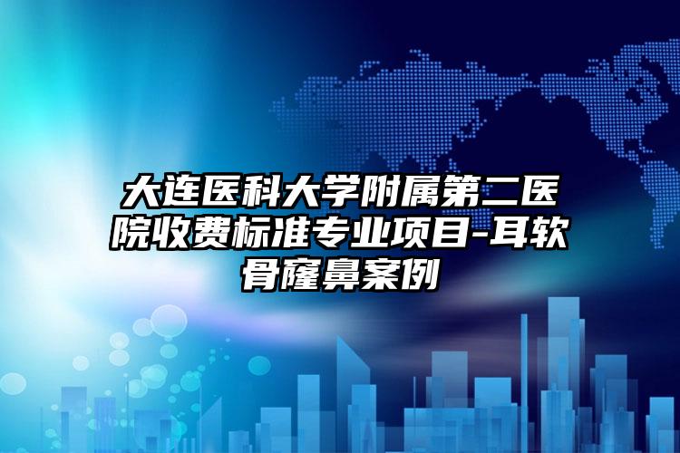 大连医科大学附属第二医院收费标准专业项目-耳软骨窿鼻案例