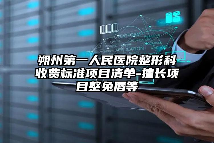 朔州第一人民医院整形科收费标准项目清单-擅长项目整兔唇等