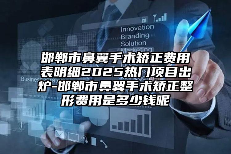 邯郸市鼻翼手术矫正费用表明细2025热门项目出炉-邯郸市鼻翼手术矫正整形费用是多少钱呢
